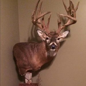 Meet your Posher, Jacob